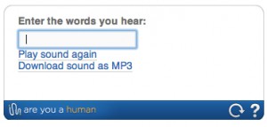 CAPTCHA alternative example with enter words you hear - PlayThru